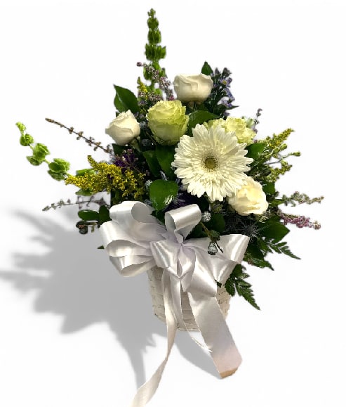 Serenity in Bloom Sympathy Basket Serenity in Bloom Sympathy Basket - The "Serenity in Bloom" sympathy basket is a beautifully crafted 8-inch round arrangement that offers a heartfelt expression of condolence and support. At its center, delicate white and green roses and a charming white Gerber daisy create a gentle focal point, embodying purity and hope. Surrounding these blooms are clusters of Bells of Ireland and solidago, adding texture and a touch of vibrant green. The composition is nestled within a lush bed of assorted greens and eucalyptus, lending an air of tranquility and elegance. This arrangement conveys love and remembrance and serves as a soothing presence during difficult times, bringing comfort to those who receive it.