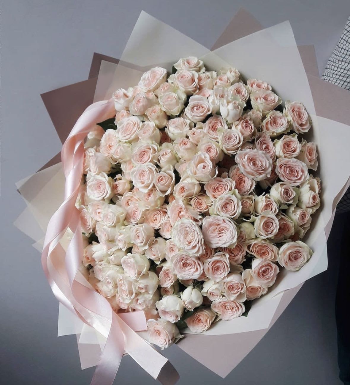 Tender spray roses - A cute bouquet of fresh light pink spray roses, perfect for any occasion. Wrapped in matte film and tied with a ribbon. This elegant arrangement is sure to impress. Delivered in an aqua box for ultimate freshness.