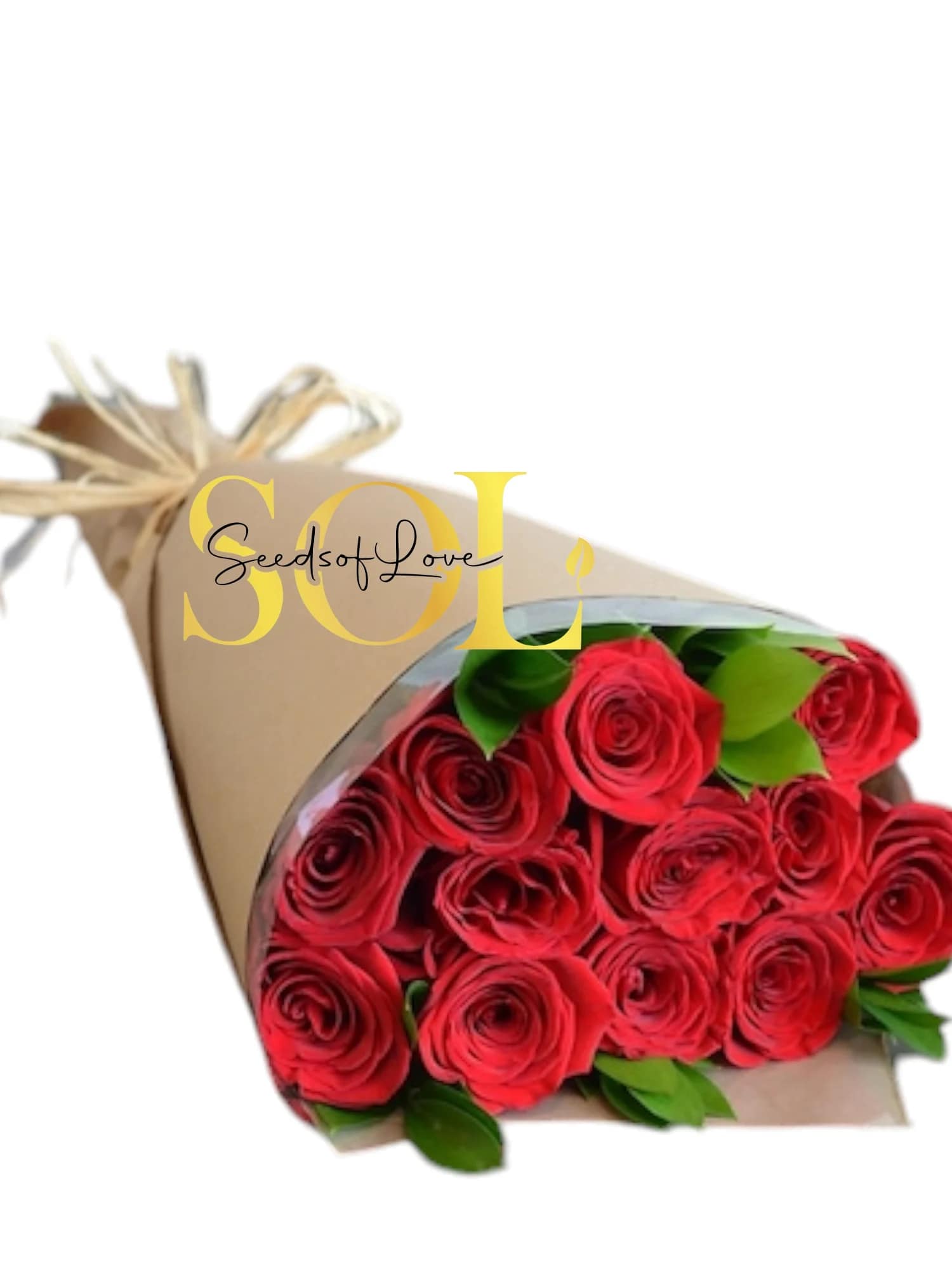 Dozen Red Roses in craft paper  - Red roses symbolize all those things that make a love story great: Passion, desire, true love, and romance