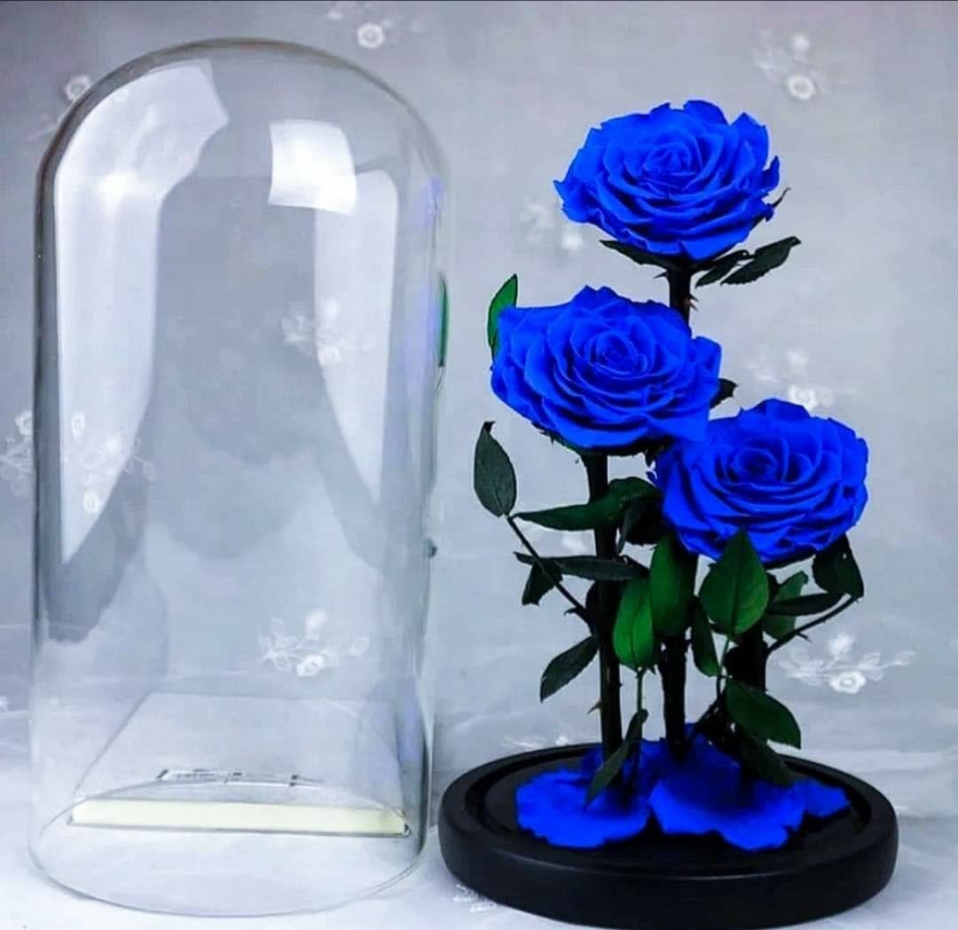BLUE PRESERVED ROSES - 3 Blue natural preserved roses in glass