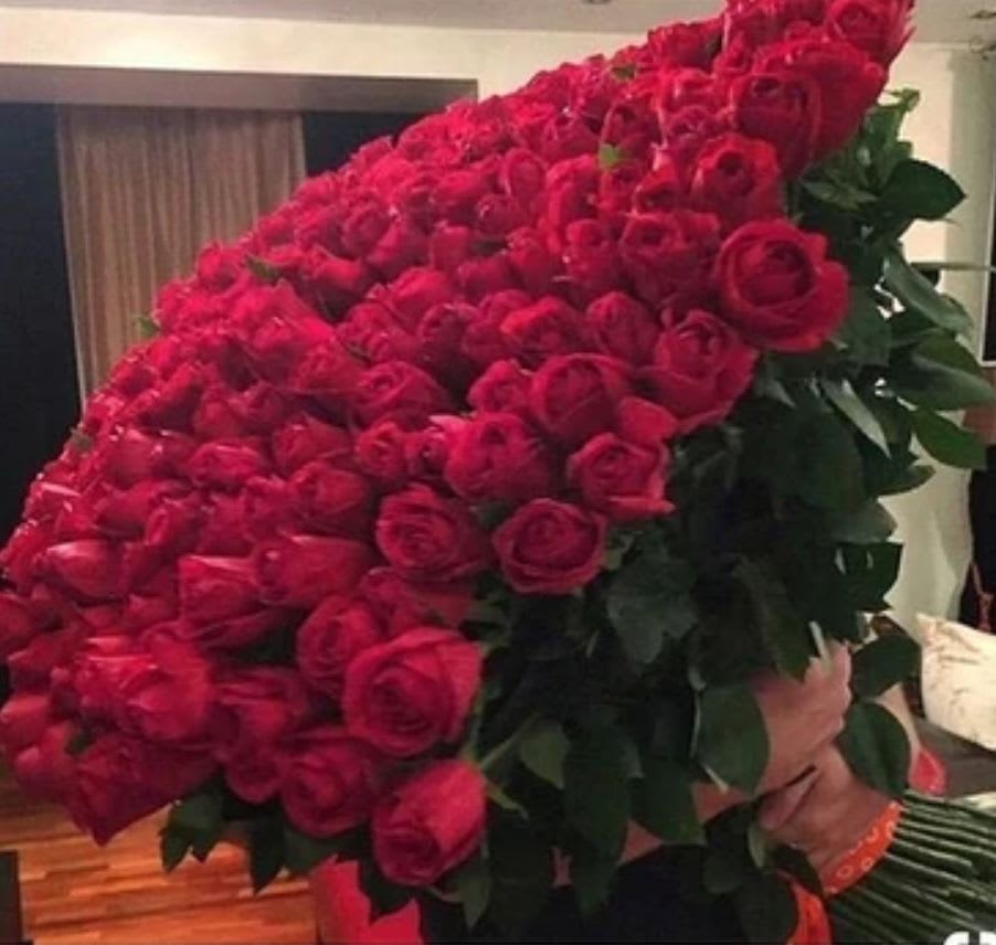 Roses in full efect - 250 amazing red roses in full bloom, Nov better way to say I love you 