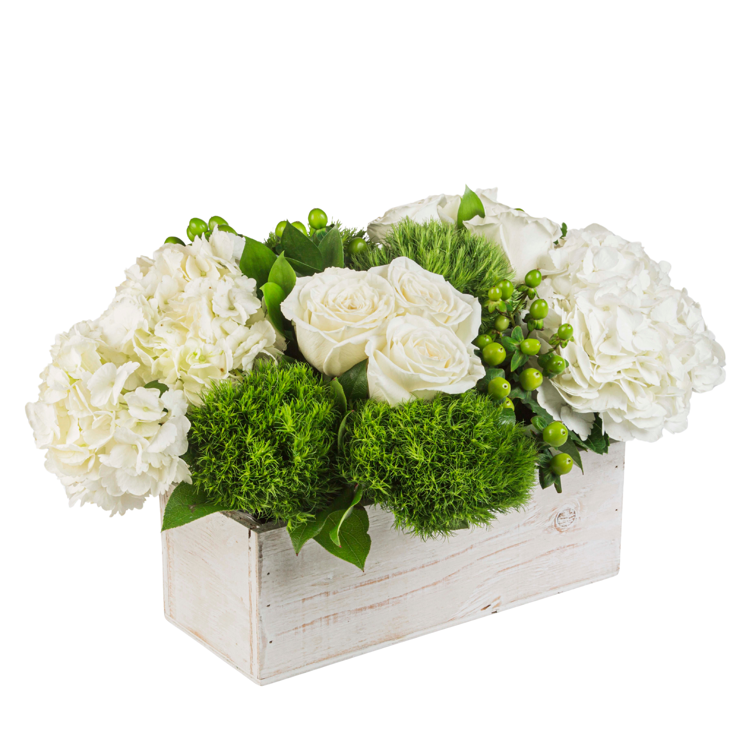 Smithtown Bay Blooms - This crisp, modern white and green arrangement includes roses, dianthus, and hydrangeas. The Smithtown Bay Blooms is the perfect gift for a Grandparents Day, Earth Day, or just because. It's size and shape also make it a fitting centerpiece for any table.   