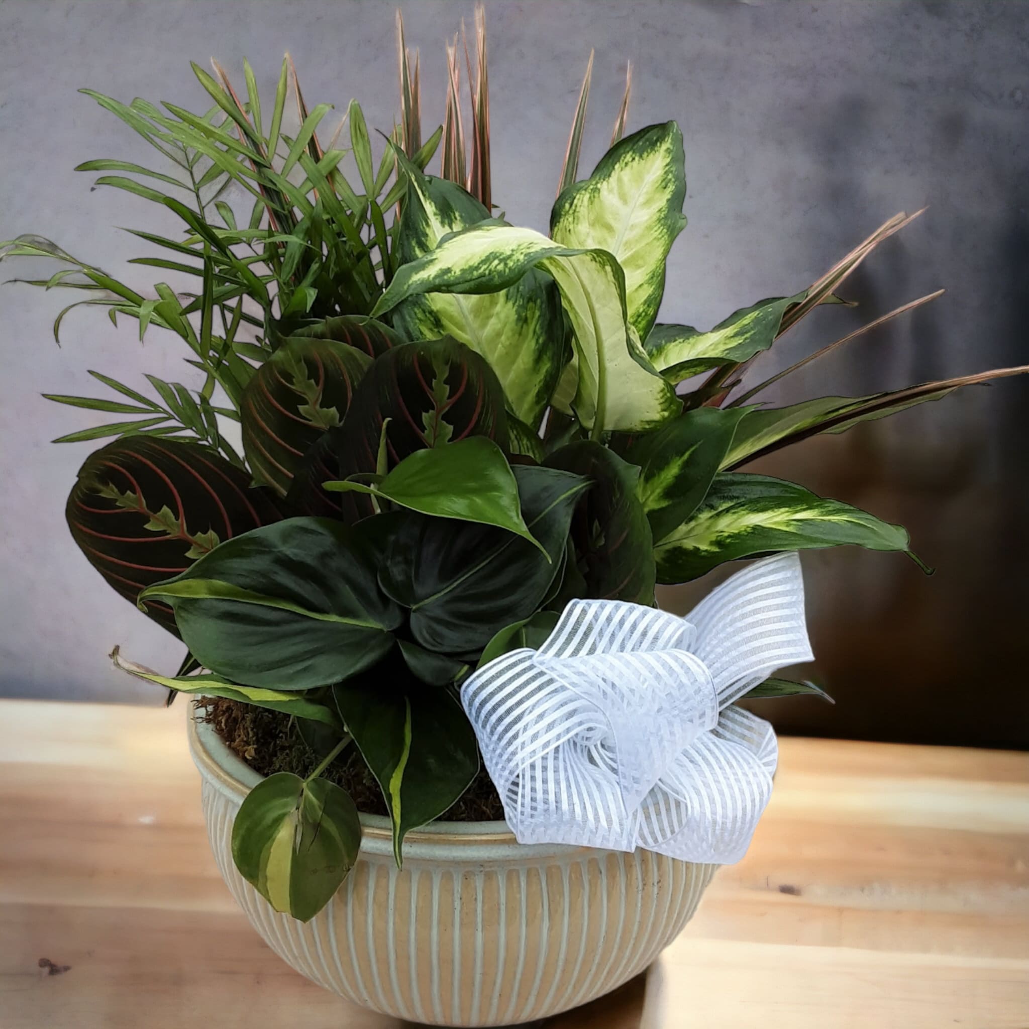 Jade Garden Jade Garden - Lush dish garden filled with an assortment of tropical foliage plants. Twigs, butterflies and ribbon accents complete the design.