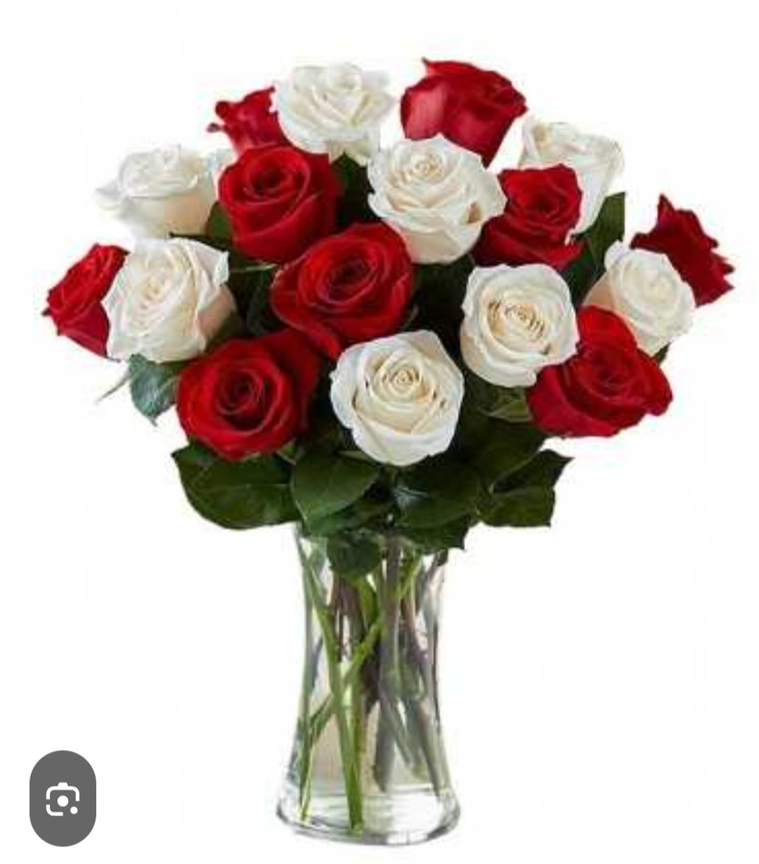 24 MIX ROSES - 24 RED AND WHITE ROSES IN BASE