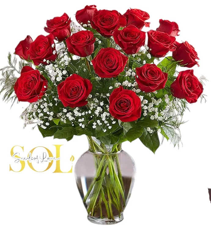 One Dozen Classic Red Roses - 12 long steam red roses, green fillers and babies Breath in a glass vase 