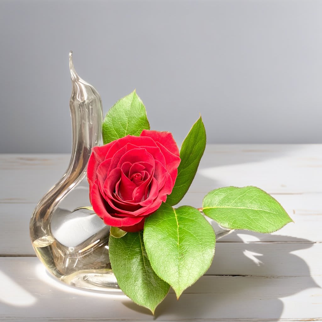 Glass Swan Rose Vase - PLEASE NOTE SIZES: Standard ONE Glass Swan and Rose Bud Vase 6&quot;x6&quot;    Our Glass Swan Bud Vase is a gift that speaks volumes and captivates hearts. This exquisite piece is the perfect gifting choice for any occasion.  The swan is a symbolic gesture that conveys love and friendship. Its delicate design and craftsmanship express deep emotions and leave a lasting impression on your recipient. Our delicate swan vase stands out from traditional gifts, showcasing the sender's thoughtfulness and creativity. This uncommon treasure is sure to leave a lasting impression, making it a cherished and unforgettable gift. 