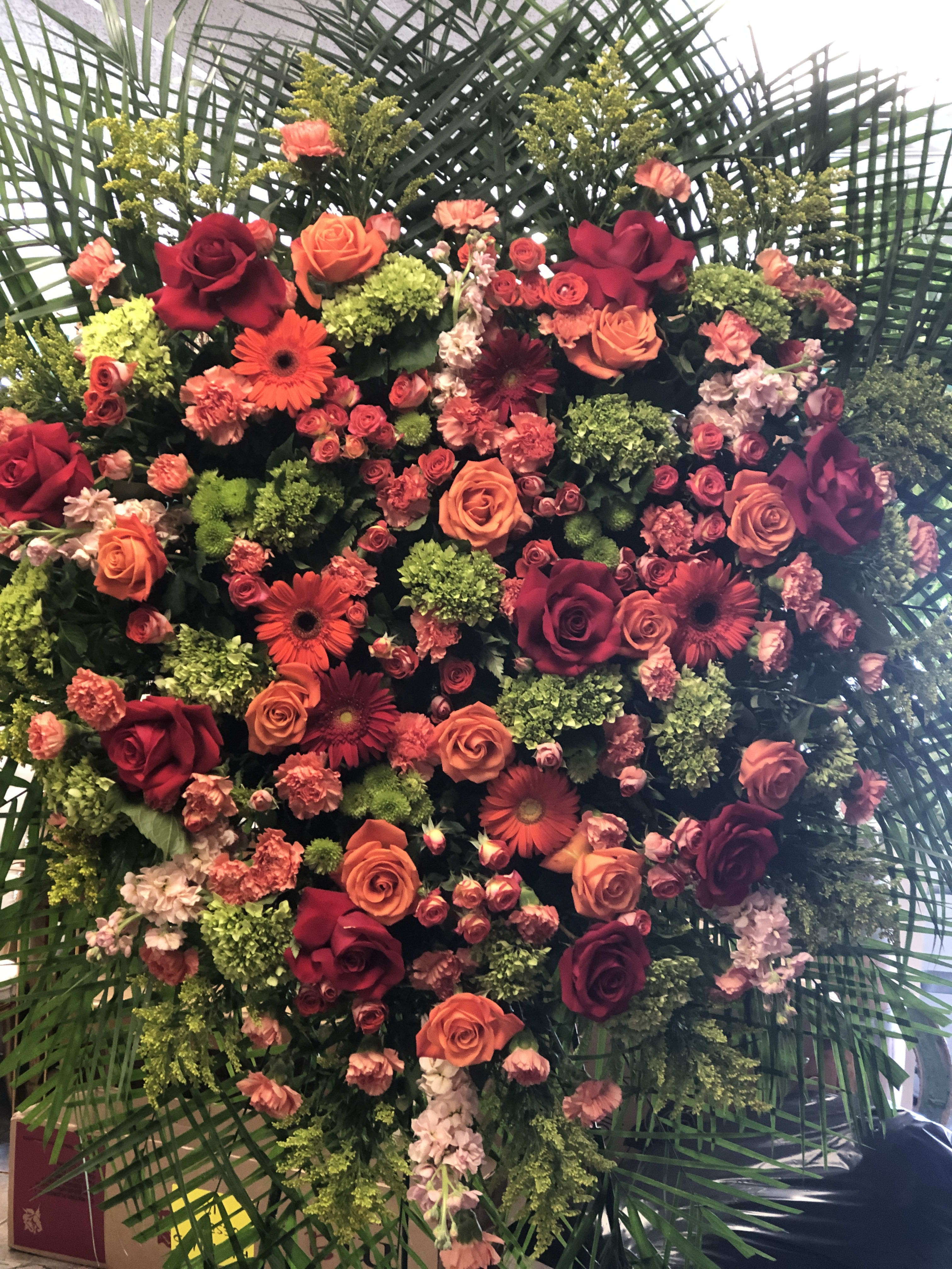 ORANGE TRIBUTE  - Large hearty shape with colorful and fresh flowers 