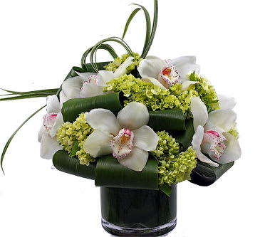 Charmed - White cymbidiums with green hydrangea finished off with clean lines of lily grass and ti leaves
