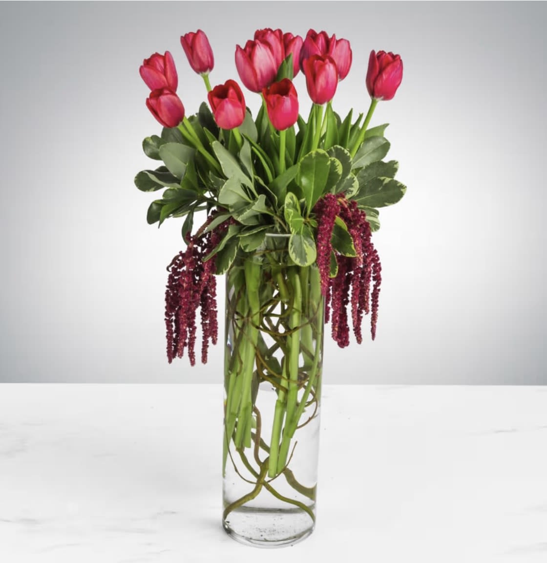 Beautiful Tulips - Red Tulips, With lush Greens