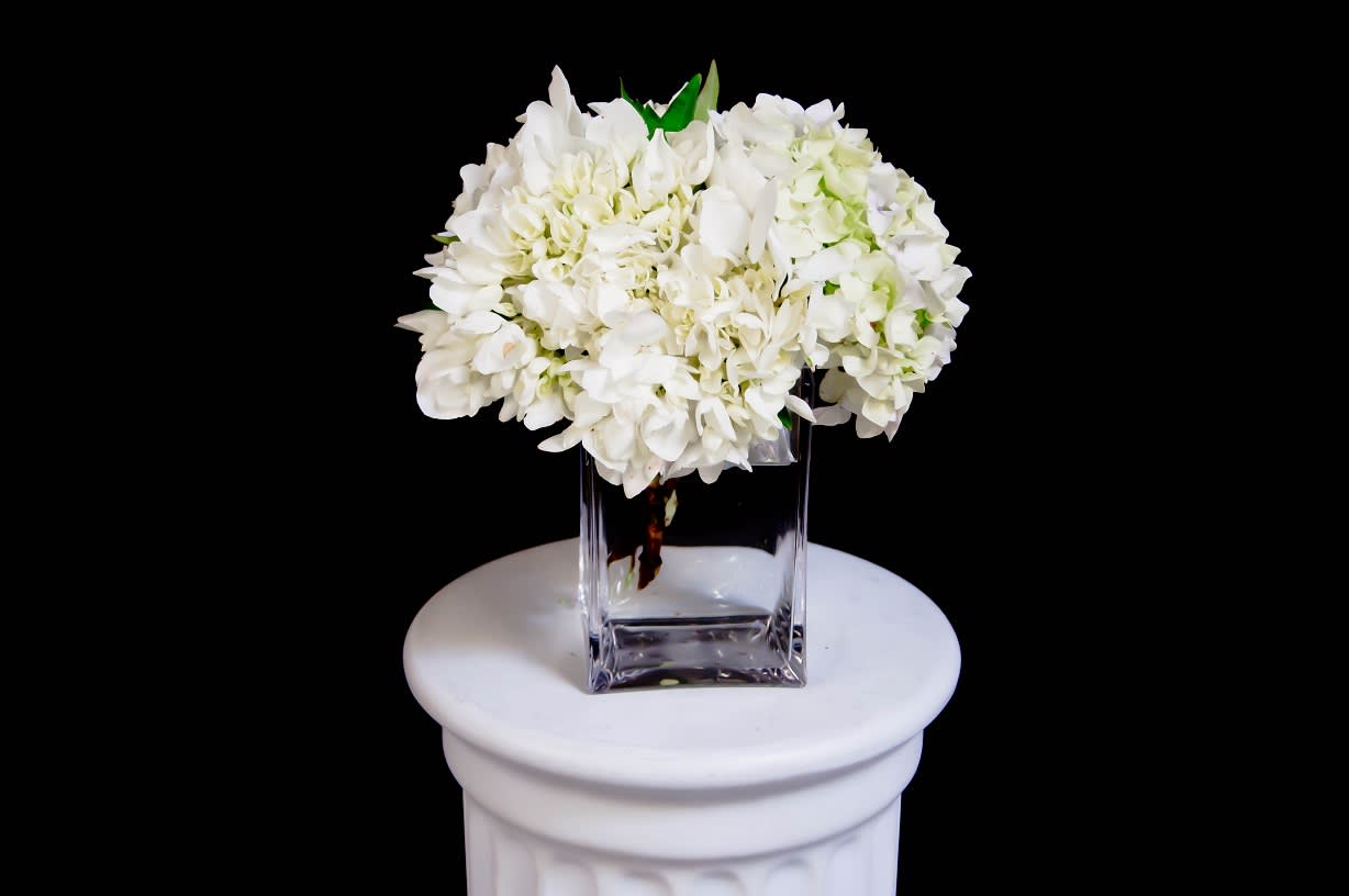 Simple Thoughts Simple Thoughts - Simple and pretty. Select this simple cube of white hydrangea.It is perfect for every occasion.