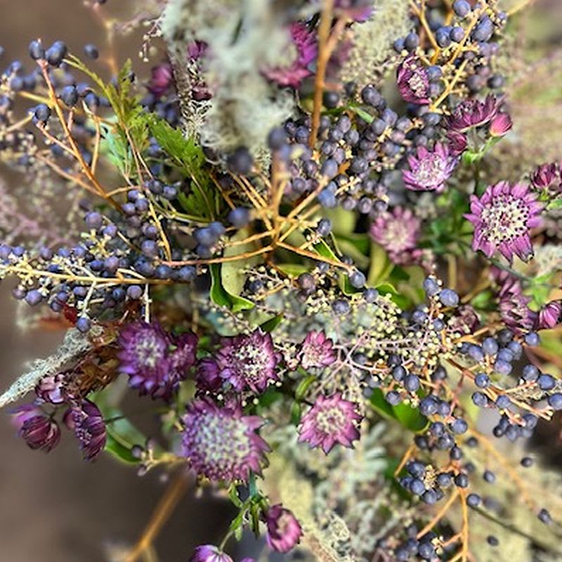 Wild Wild - Seasonal wilderness