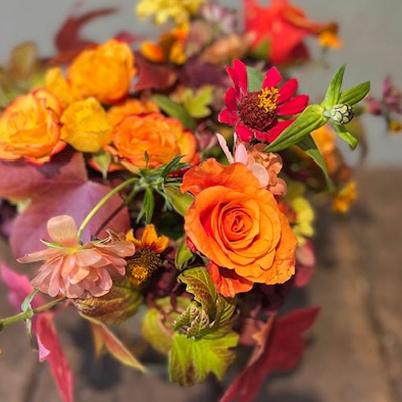 Zinnia - A combination of wild summer flowers