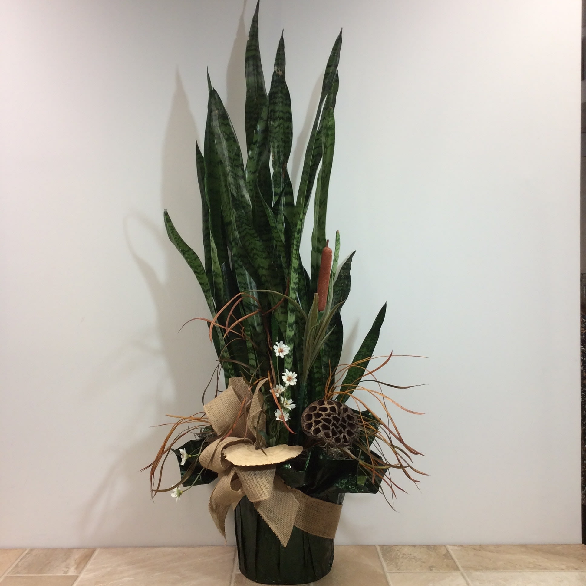 Gabby Sanseiveria plant, decorated Gabby Sanseiveria plant, decorated - A perfect living gift! This sansevieria plant is a low light, easy to grow houseplant that requires little water. We’ve decorated it with dried and artificial accents making it an impressive gift. Approximate size is 15” wide x 35” tall.