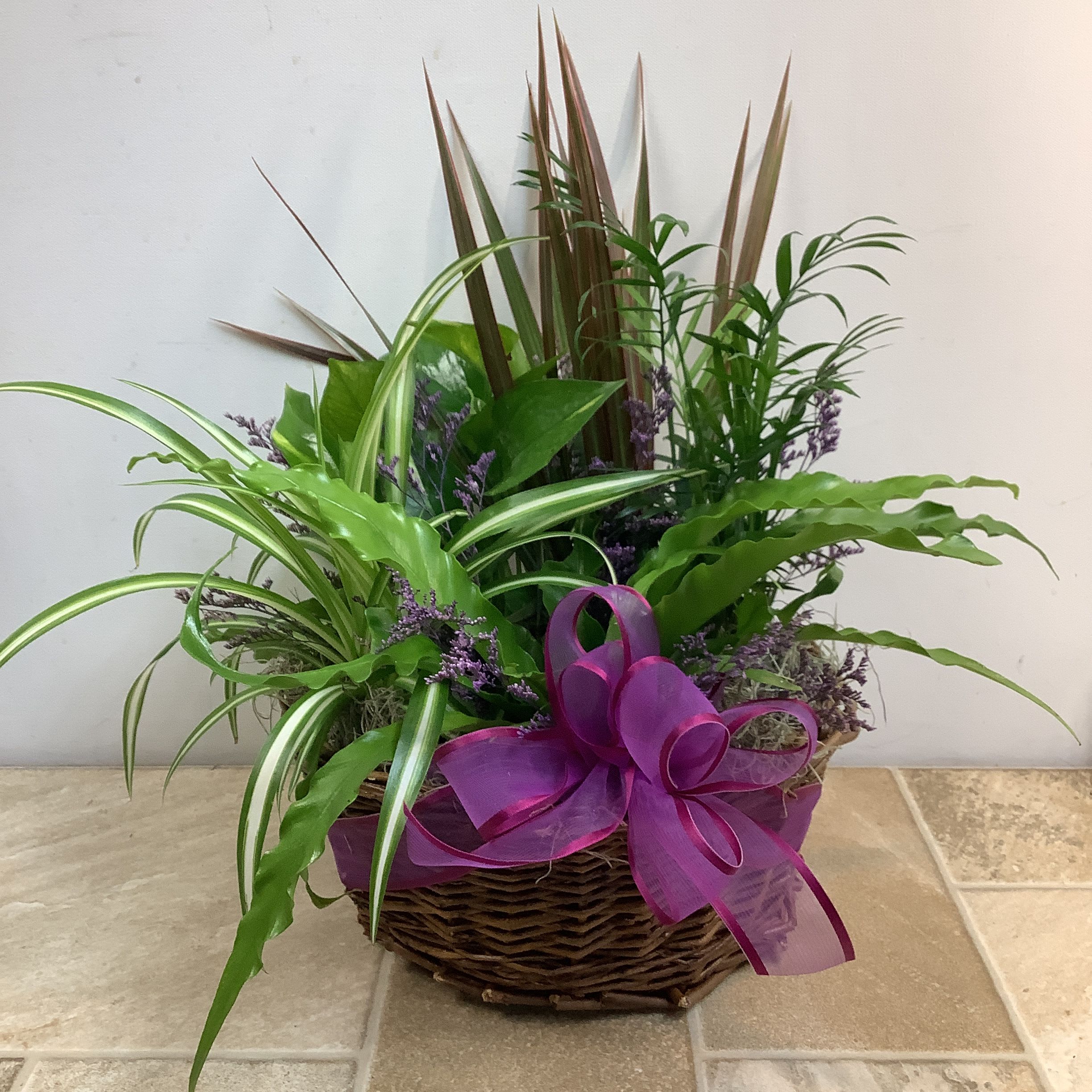 Basket Plant, Decorated, 10” Basket Plant, Decorated, 10” - A pretty collection of green plants beautifully gathered in a 10” wicker basket. We’ve decorated it with purple limon and an attractive bow. It measures 14” wide x 16” tall. Note: The bow and limon color can be changed upon request.