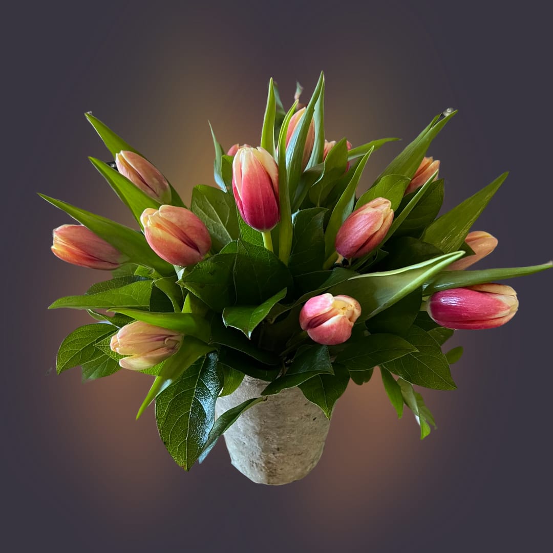 Tons of Tulips SPR9856 - Tons of Tulips SPR9856