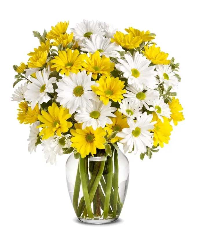 Upsy Daisy - What could be sweeter than a cheerful bouquet of white and yellow daisies? Can't think of anything? Then choose this sunny bouquet. It will brighten their day. 