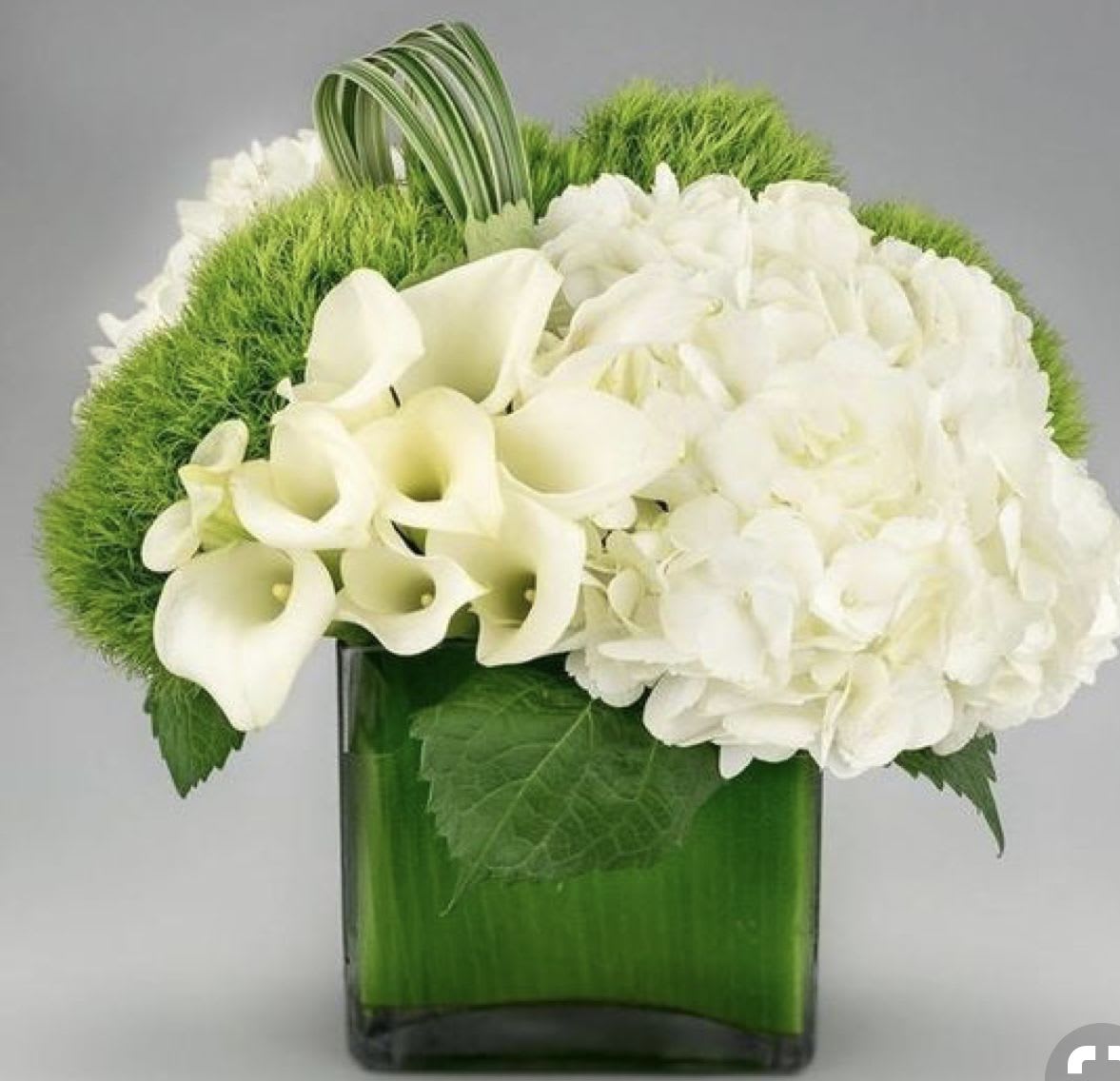 Heavenly clouds - Gorgeous combination of white flowers as white cala lilies, white roses and hydrangeas with a touch of green dayantus