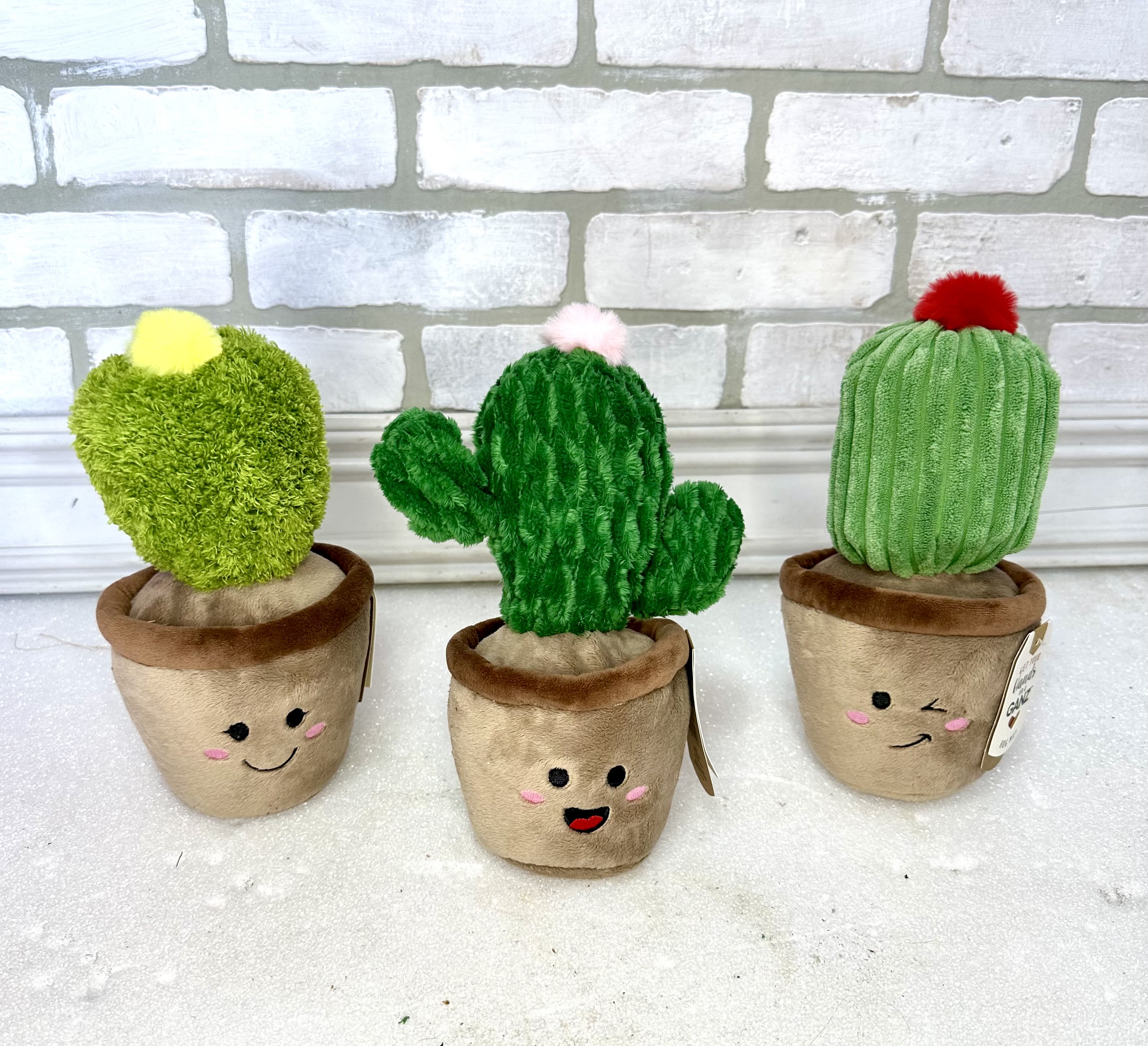 Cactus Plush - A fun cactus plush with facial expression (one included)