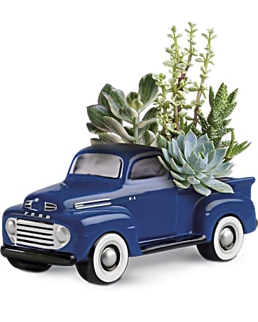Ford Suculant  - This image showcases a Ford pickup truck succulent arrangement, featuring a vintage-style blue ceramic Ford truck filled with a variety of lush succulents. The combination of the classic truck design with hardy, green succulents creates a charming and rustic display, making it a perfect gift or decorative piece for truck enthusiasts and plant lovers alike.