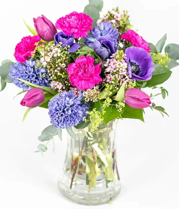 Enchanting Blooms bouquet Enchanting Blooms bouquet - Enchanting Blooms is a colourful spring bouquet filled with seasonal stems in Purple, Blue, Pink and Cerice. Perfect for every occasion throughout spring. Beautifully presented and delivered by a local florist.