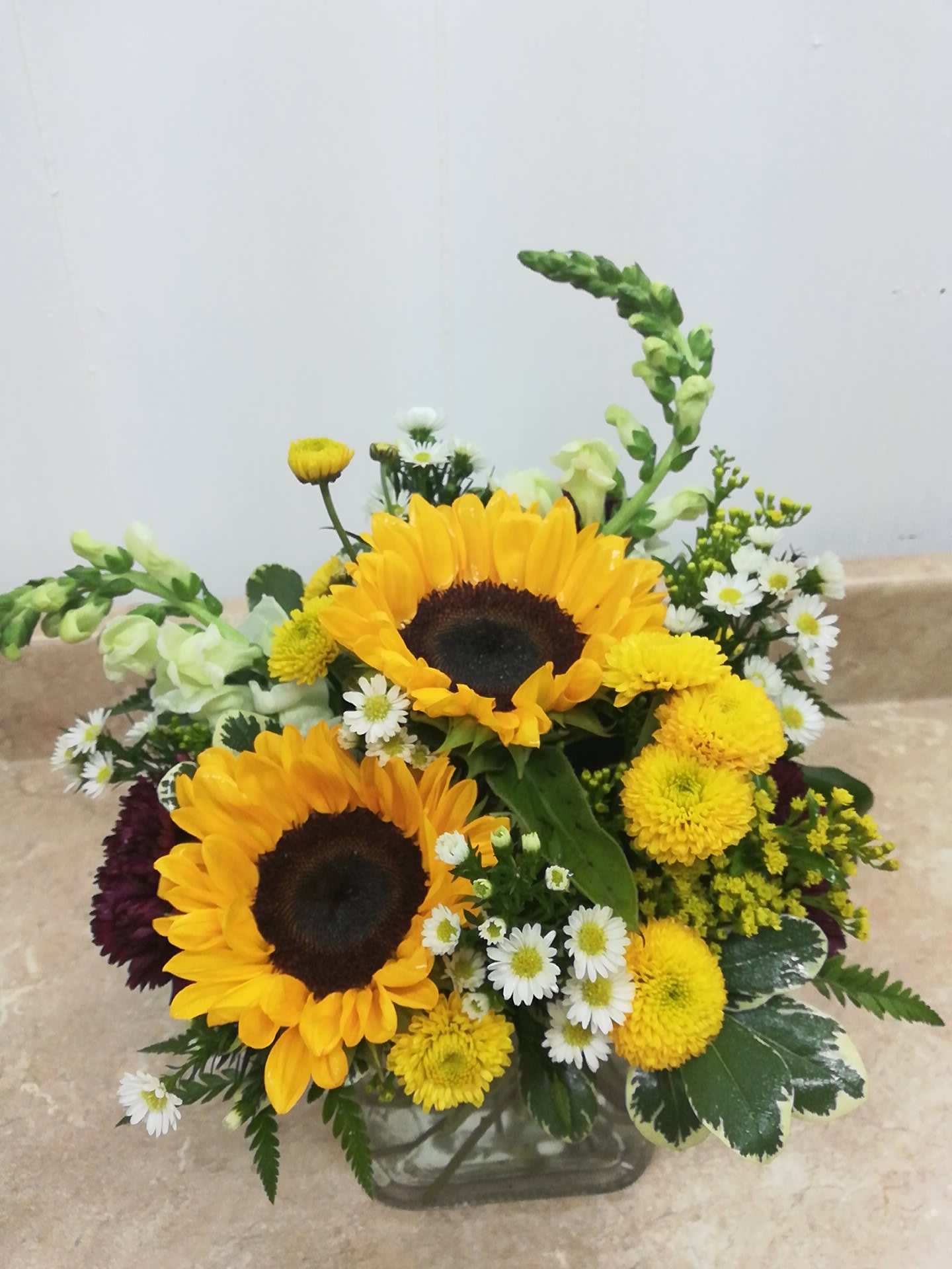 Summer Sun - A lovely bouquet of sunflowers accented with white snapdragons and monte casino, and burgundy carnations.