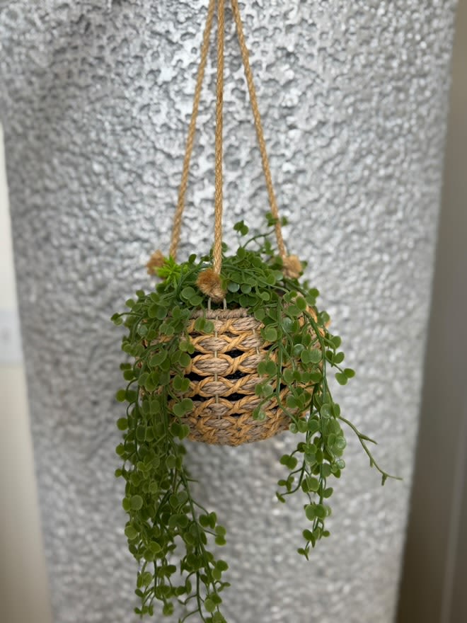 Peperomia Hanging Oasis Peperomia Hanging Oasis - Artificial hanging basket with lifelike peperomia, adding greenery effortlessly.