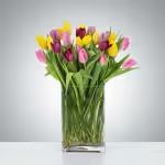 Tulip Mania by BloomNation™ - Send a selection of tulips to somebody you have unconditional love for! Always treasured and appreciated, Tulips have a rich history and are loved by all making them a fan favorite for Mother's Day. They also are a great option for celebrating an anniversary or just because.  1st Image: Standard 2nd Image: Premium