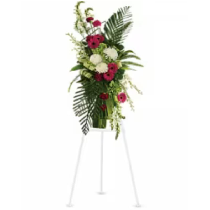 Gerberas and Palms Spray - Convey your respect and admiration with this spray of striking red and white funeral flowers. Red gerberas and carnations complement white orchids snapdragons and chrysanthemums all set against the deep greens of tropical palm leaves.