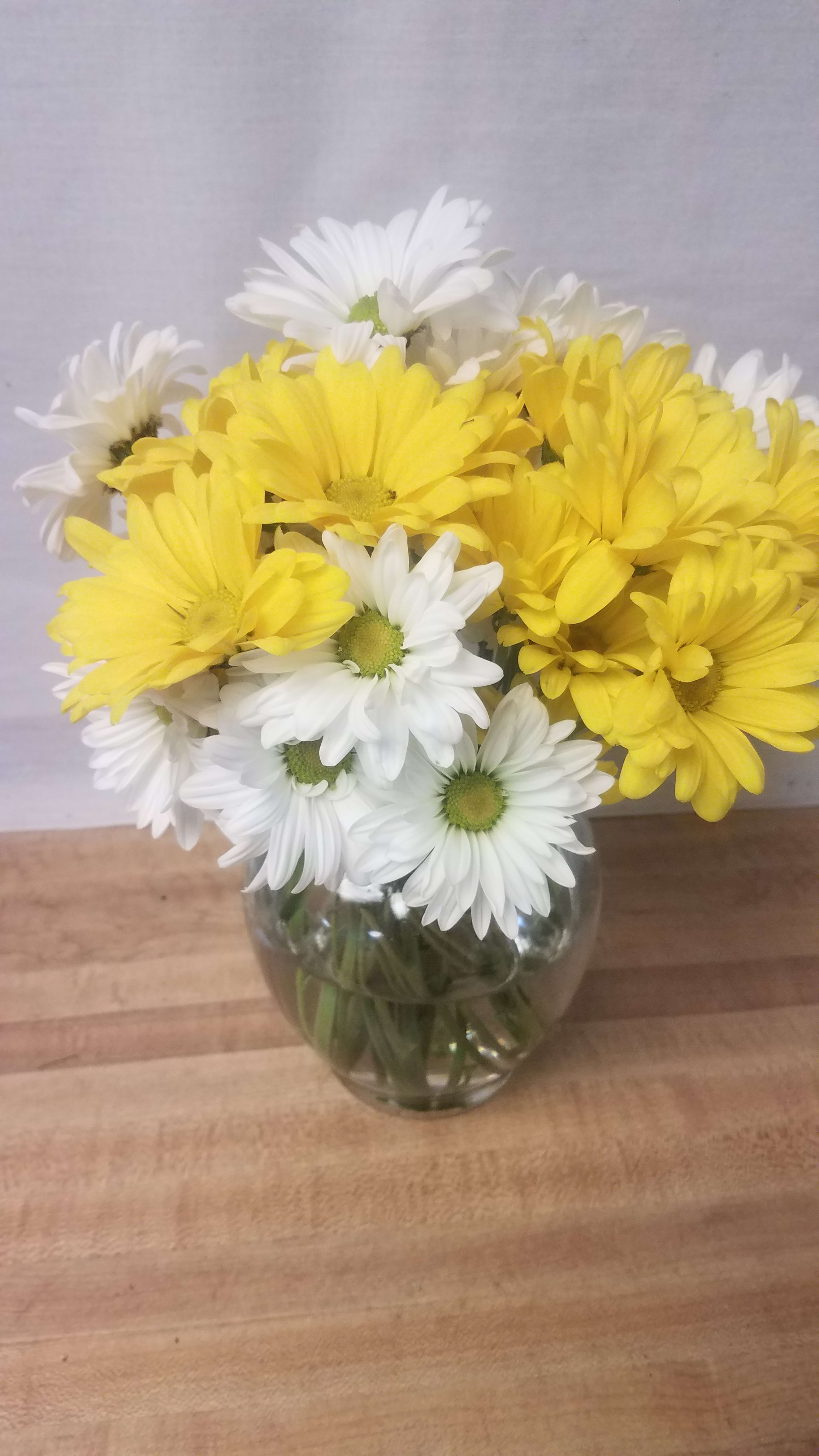 Adorable Daisies  - Send these bright and joyful daisies in one of our glass vases and that special someone's heart will skip a beat or two.
