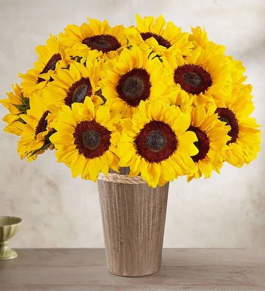 flores amarillas / yellow  sunflowers - 21 de marzo dia de mandarle flores amarillas a tu amorcito 21 sunflowers  21 Girazoles  la VASE en las que son enviadas, varea segun la temporada!  the VASE varies by season !!!!
