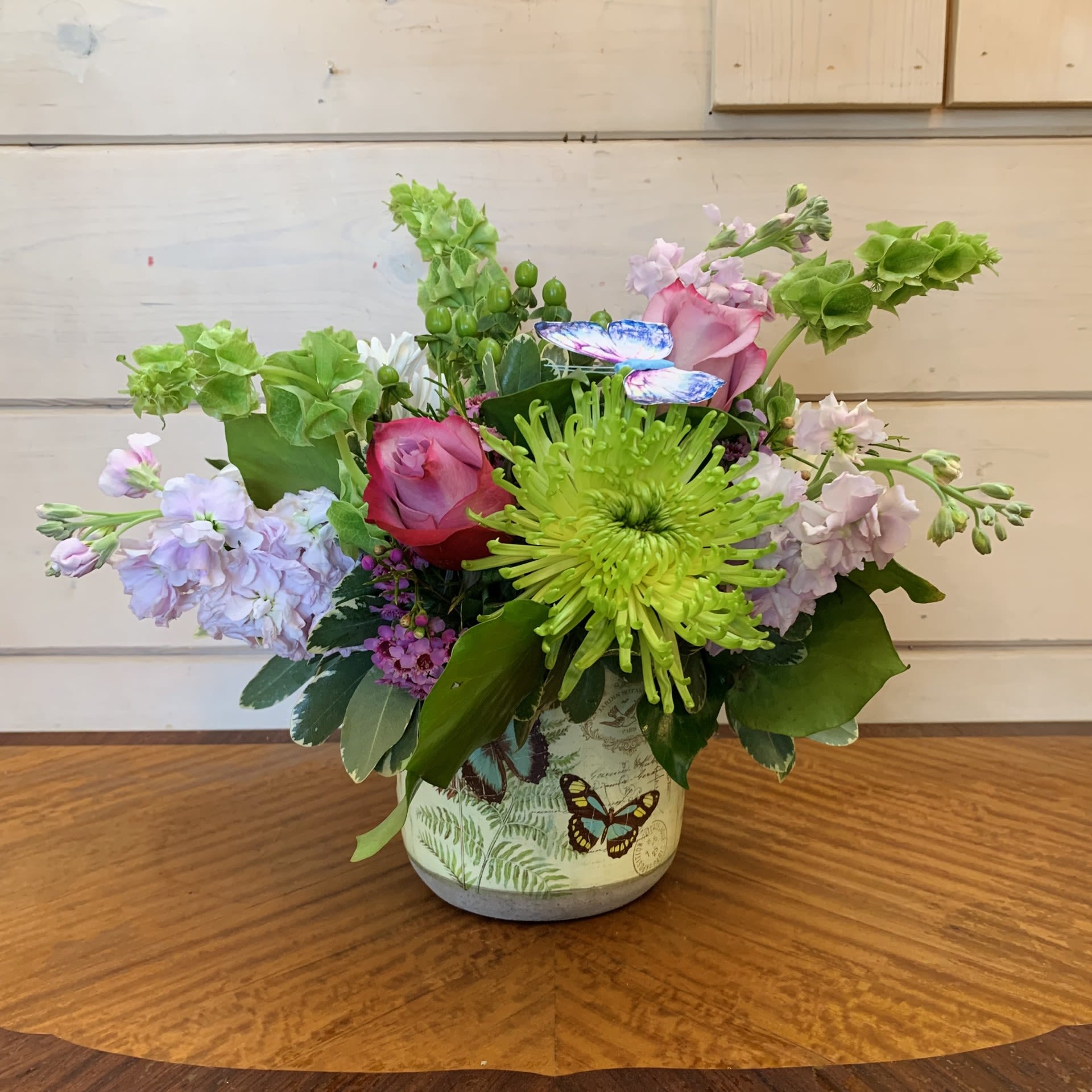 Bashful Butterflies - A butterfly frolics across lavender roses, bells of ireland, pink stock, green and white chrysanthemums, and green hypericum in a sweet decorative butterfly pot with seasonal filler flower. Approximately 12&quot; tall and 12&quot; wide.