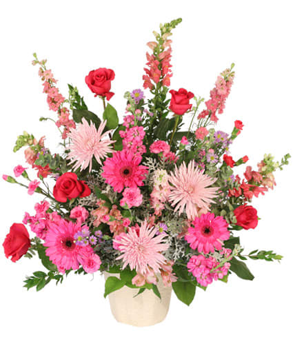 Beautiful  Soul - This beautiful sympathy arrangement is lovingly presented in a 6-inch container, exuding warmth and compassion. The lush foliage of myrtle, salal, and eucalyptus ('Baby Blue') provides a serene foundation, complemented by the soft texture of dusty miller.   A vibrant mix of blooms adds a heartfelt touch: three delicate pink snapdragons and three stems of bold hot pink larkspur symbolize love and strength. The charming pink spider mums and striking hot pink gerberas provide a cheerful brightness, while five deep red roses convey deep love and respect. To complete this colorful tribute, five stems of lavender aster ('Monte Casino') add a soothing touch, alongside five stems of hot pink mini carnations, which express admiration and remembrance. Together, these flowers create a poignant and uplifting gesture, offering comfort and support during this difficult time.