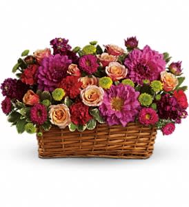 Burst of Beauty Basket Burst of Beauty Basket - Light orange spray roses, hot pink dahlias, carnations and matsumoto asters, green button spray chrysanthemums are delivered in a rectangular basket. Approximately 21 W x 13 1/4 H