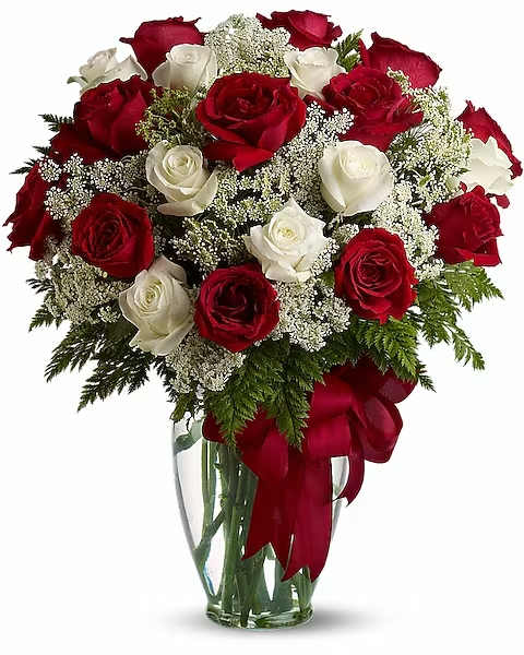 Love's Divine- Long Stemmed Roses - Love's divine, and roses are too. At almost two feet tall, this beautiful mix of red and white roses - accented with Queen Anne's Lace, and adorned with a bold red ribbon - is a timeless gift for your beloved. Red and white roses accented with Queen Anne's lace and more are delivered in a glass vase accented with a red satin ribbon.