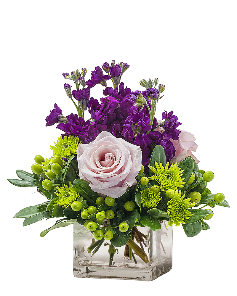 My Anna Marie - TMF-1538 My Anna Marie - TMF-1538 - My Anna Marie is a sweet pop of purple with lovely lavender roses, purple stock, and bright green accents in a clear glass cube container appropriate for a coffee table or desk. Approximately 5"W X 8"H