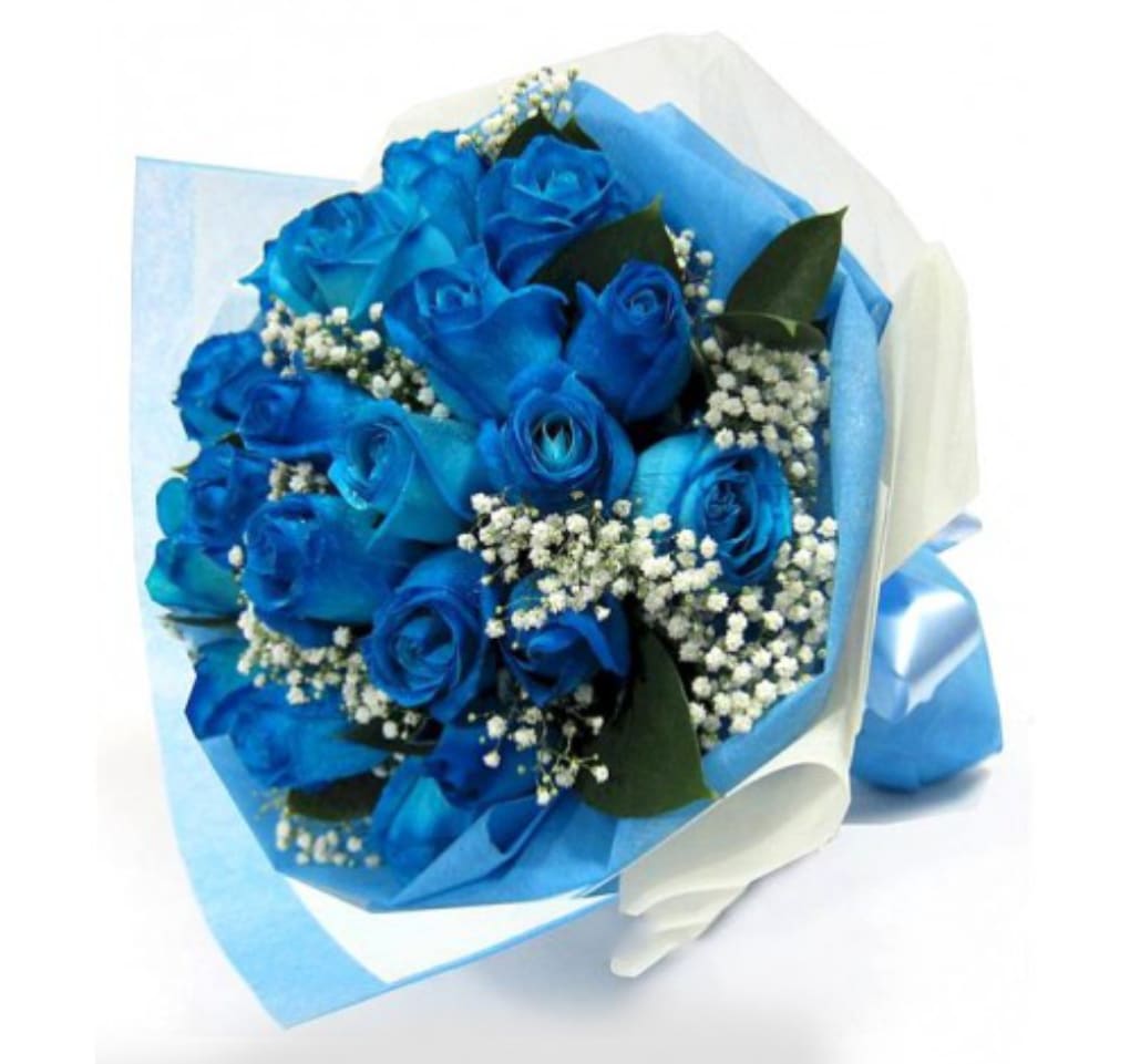 A Dozen Blue Roses in Thornhill, ON | Hana Floral Designs & Co.