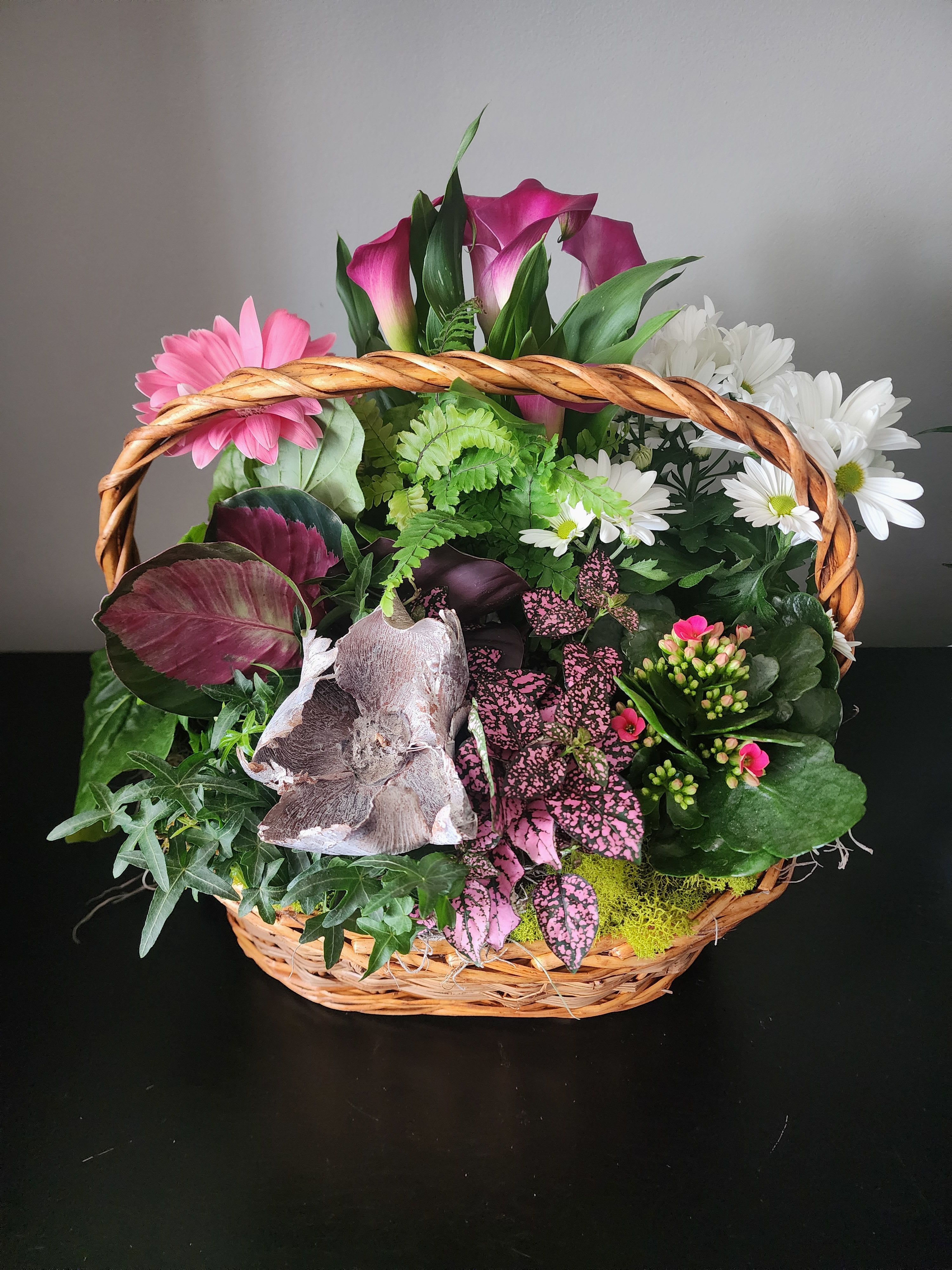 Large blooming plant basket  - Assorted blooming and green plants arranged in  a basket Colors and plants may vary. 