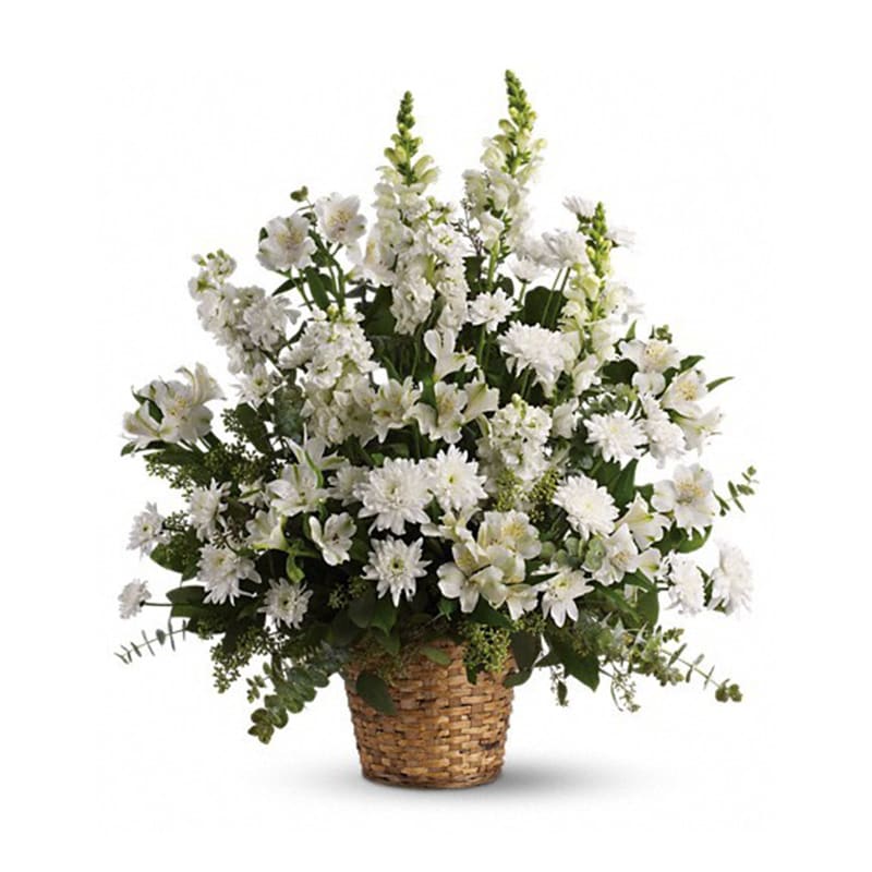 Heavenly Light - A soft embrace of comfort awaits at IrvineVillageFlowers.com, perfect for those seeking to offer gentle solace. This exquisite bouquet, cradled in a 6&quot; natural pot basket, brings a whisper of serenity to a memorial service and a lasting touch of peace for the family at home. Measuring approximately 25 1/2&quot; W x 28 1/2&quot; H, its one-sided design radiates quiet care.    White alstroemeria blooms with a tender glow, its delicate petals symbolizing devotion and calm, a soothing presence in sorrow. Snapdragons rise gently, their graceful forms offering strength and hope, like a friend’s steady hand. Stock adds a soft hush of purity and affection, while cushion spray chrysanthemums nestle in with a comforting embrace. Accented by the silvery whisper of eucalyptus and the fresh breath of lemon leaf, this arrangement weaves a gift of caring—a beautiful way to honor a life and ease a heavy heart.    Discover this gentle treasure at Irvine Village Flowers. Visit us online or in-store, and let our thoughtful delivery across Irvine bring this serene bouquet fresh to those who need it, ready to console. A quiet story of comfort, blooming with every petal.