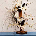 Bamboo Bamboo - Bamboo