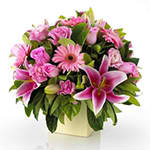 Love Pink Love Pink - Love Pink