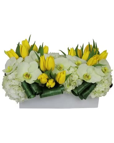 Modern orchids and tulips  - This amazing arrangement of Orchids, roses amd orchids arrangement was handcrafted by one of our profesional designers 