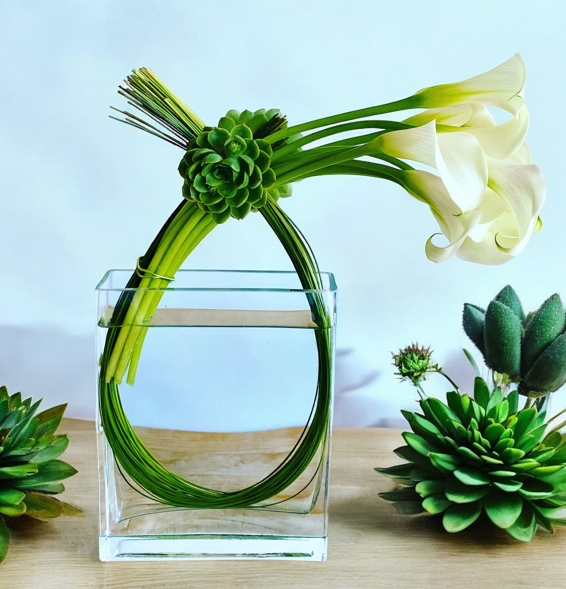 Calla dreams  - A mmodern Calla lilly design with succulents. Vase shape and colors may vary, call for same day availability. 