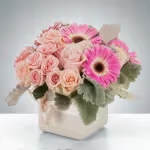 Little Dreamer by BloomNation™ Little Dreamer by BloomNation™ - The perfect arrangement for welcoming a baby girl into the world or celebrating a birthday. Send this soft and sweet arrangement to somebody as lovely as the flowers! Approximate Dimensions: 12"D x 10"H