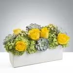 Mellow Yellow by BloomNation™ Mellow Yellow by BloomNation™ - Yellow roses with green succulents and a crisp white rectangular box, this arrangement brightens and soothes any space. Perfect for saying happy birthday, welcoming new babies and saying thank you. A crowd pleaser, this arrangement appeals to both the contemporary and the classic. APPROXIMATE DIMENSIONS 12" W X 6" H