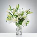 Peaceful Evening by BloomNation™ Peaceful Evening by BloomNation™ - White lilies stand tall and beautiful. Send an impactful gift to somebody whether it be for saying I am sorry or celebrating the new year. This arrangement instantly elevates any room and fills the space with that distinct sweet-smelling lily perfume. 1st Image: Standard 2nd Image: Premium