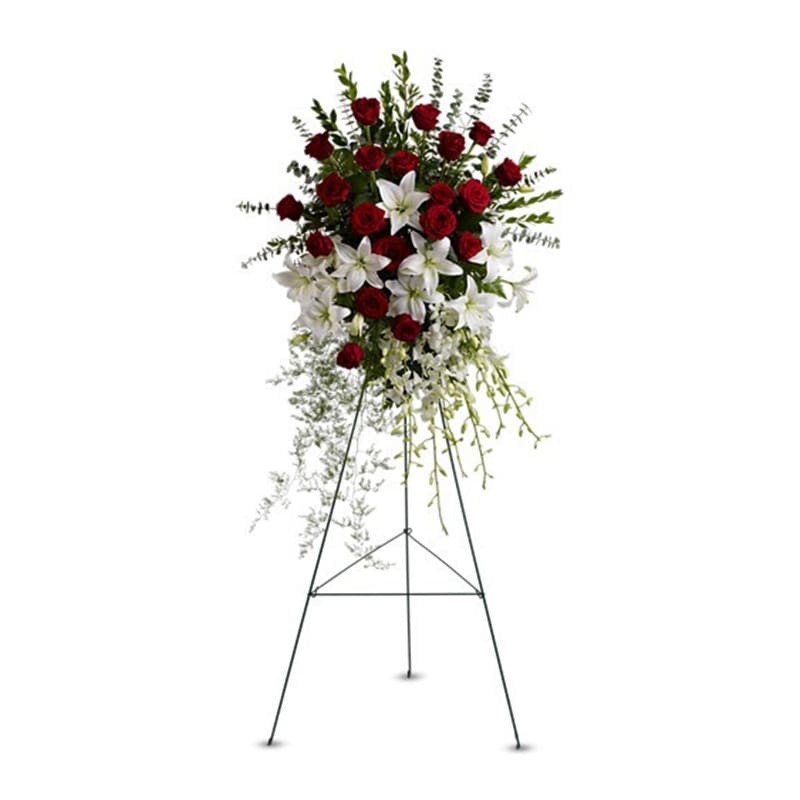 Lily and Rose Tribute Spray - In a quiet moment of remembrance, Irvine Village Flowers tells a heartfelt tale with this magnificent standing spray—a tribute woven from the finest blooms. Rising grandly at 31&quot; wide and 50&quot; high, this arrangement sings with pure white lilies and dendrobium orchids, their elegance a gentle nod to a life well-lived. Red roses bloom boldly amidst white Asiatic lilies, each petal a memory cherished, while lush greenery accents the spray, grounding it in nature’s embrace. Delivered on an easel, it stands as a fitting honor for a funeral wake or memorial service, a beacon of love and legacy.  Each flower carries a story of tribute: white lilies glow with purity and peace, a serene farewell to a beautiful soul. Dendrobium orchids, delicate and timeless, whisper eternal reverence, while red roses speak of deep love and respect that never fade. White Asiatic lilies add a layer of innocence and grace, their quiet beauty a comforting presence. The greenery weaves it all together, a symbol of life enduring. From Irvine Village Flowers, this impressive spray is a gift of the heart. Visit us in-store or online, and let our thoughtful delivery bring this magnificent tribute to stand tall, fresh and ready to celebrate a life forever remembered.