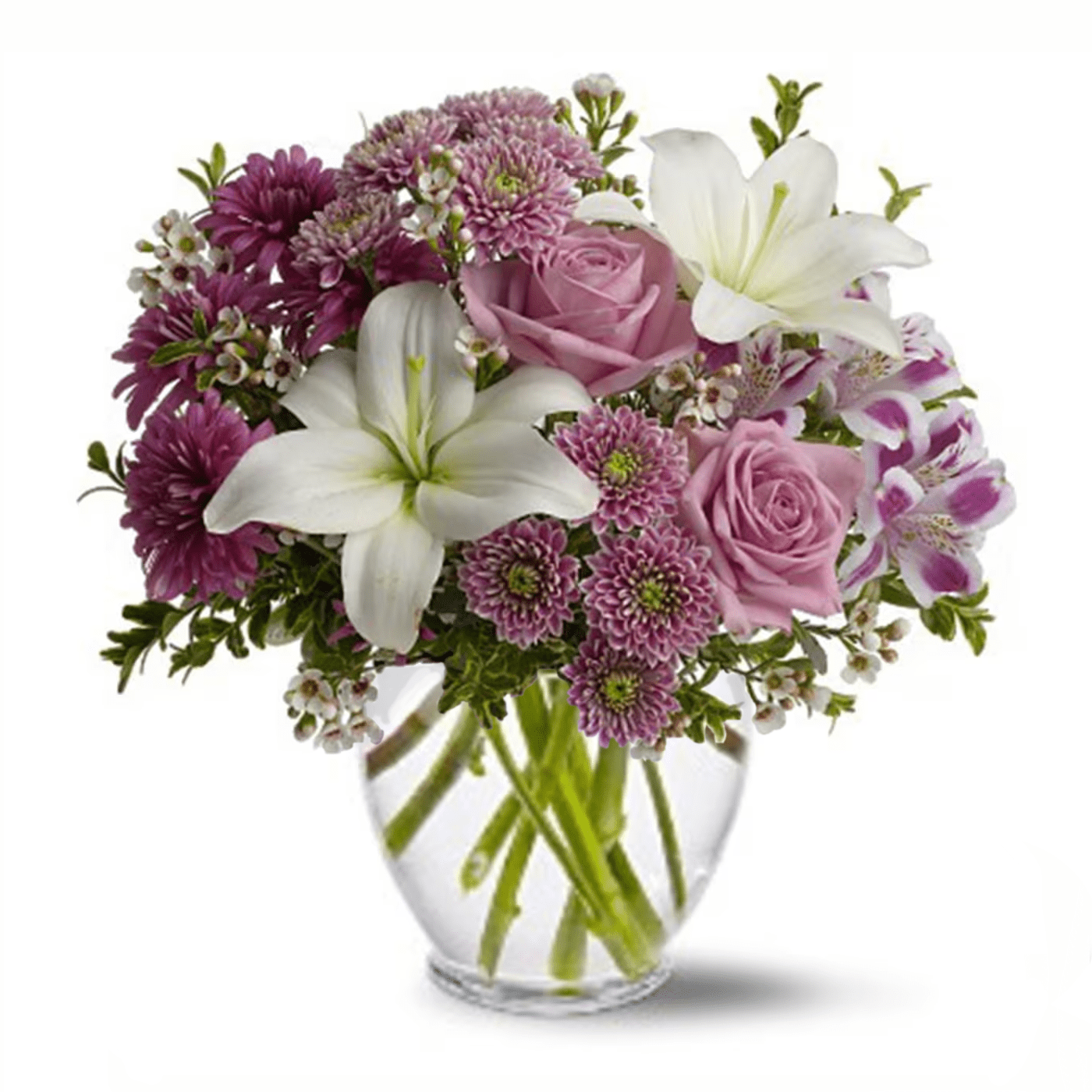 Precious in Purple [TT-PRECPPL] - White Asiatic lilies, purple alstroemeria, white waxflower, lavender button spray chrysanthemums, purple cushion spray chrysanthemums and lavender roses accented with fresh greenery in a clear glass ginger vase.  Bouquet is approximately 12” W X 15 1/2” H.   Orientation: All-Around      As Shown : [TT-PRECPPL]  