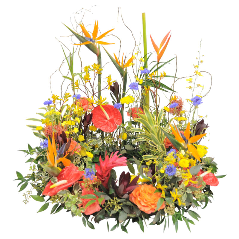 K652 Tropic Breeze Urn Wreath K652 Tropic Breeze Urn Wreath - K652 Island Breeze. Celebrate the life of your loved one with the stunning Tropic Breeze Urn Wreath, a bold and tantalizing display that brings the beauty of the tropics to the funeral service. This arrangement features an exquisite assortment of tropical flowers, each bloom radiating vibrant colors and unique textures, perfectly complemented by a variety of island-like foliage. Surrounding the urn with a gentle hush of intense beauty, this wreath creates a serene and captivating focal point that honors the memory of someone who cherished the tropics. The lush greenery and exotic flowers come together to evoke the tranquil and invigorating spirit of a tropical paradise. Ideal for someone with a love for the tropics, the Tropic Breeze Urn Wreath offers a truly cool and distinctive look, providing a fitting tribute that celebrates their vibrant life and enduring spirit. Shown Here The Premium $400.00