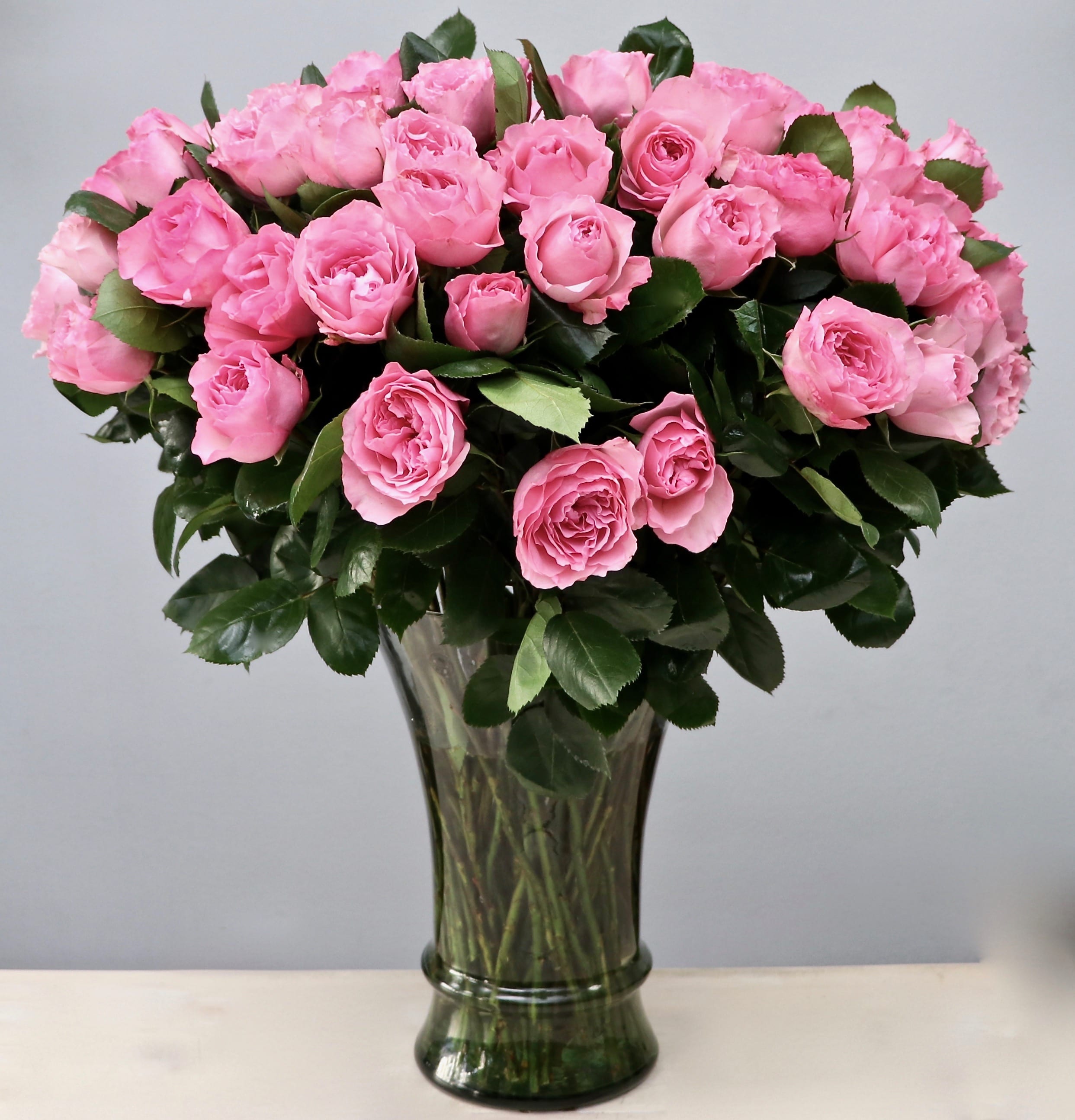 Oh Roses! - Glendale Florist - 100 premium long stem roses. This grand arrangement stands taller than 28'' and 24'' wide. Make sure to upgrade to deluxe or premium for even more roses!  Photo featured is PREMIUM version. 