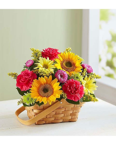 Sunny Garden Basket - Here’s so much about a garden to inspire—vibrant colors, sweetly scented blooms... and that’s why we’ve captured it all in one charming basket! Filled with a beautiful mix of roses, sunflowers, daisies, and more, our hand-designed arrangement will inspire them to smile brighter, laugh longer... and delight in the moment forever. * Our florists hand-design each arrangement, so colors, varieties and container may vary due to local availability * One-sided arrangement of blue delphinium, sunflowers, pink roses, hot pink carnations and aster, green spider mums, solidago, and salal * Artistically designed in a splitwood handled basket that can later be used to hold mementos or as a décor item * Large arrangement measures approximately 16&quot;H x 15&quot;D * Medium arrangement measures approximately 14&quot;H x 13&quot;D * Small arrangement measures approximately 12&quot;H x 11&quot;D and include daisies instead of roses Sunflowers may arrive with dark or light centers   Orientation : All-Around